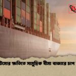 বাল্টিমোর ক্ষতিতে সামুদ্রিক বীমা বাজারে চাপ বৃদ্ধি