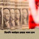 বিদেশি অর্থায়ন প্রবাহে পতন চাপ বিদেশি অর্থায়ন প্রবাহে পতন চাপ