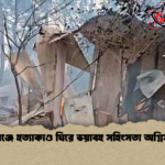 বেগমগঞ্জে হত্যাকাণ্ড ঘিরে ভয়াবহ সহিংসতা অগ্নিসংযোগ বেগমগঞ্জে হত্যাকাণ্ড ঘিরে ভয়াবহ সহিংসতা অগ্নিসংযোগ