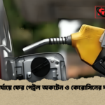 ভোক্তাপর্যায়ে ফের পেট্রল অকটেন ও কেরোসিনের দাম বৃদ্ধি 1 ভোক্তাপর্যায়ে ফের পেট্রল অকটেন ও কেরোসিনের দাম বৃদ্ধি