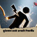 মুঠোফোন চার্জে প্রাণহানি শিক্ষার্থীর মুঠোফোন চার্জে প্রাণহানি শিক্ষার্থীর