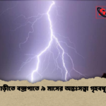 রাজবাড়ীতে বজ্রপাতে ৯ মাসের অন্তঃসত্ত্বা গৃহবধূর মৃত্যু 2 রাজবাড়ীতে বজ্রপাতে ৯ মাসের অন্তঃসত্ত্বা গৃহবধূর মৃত্যু