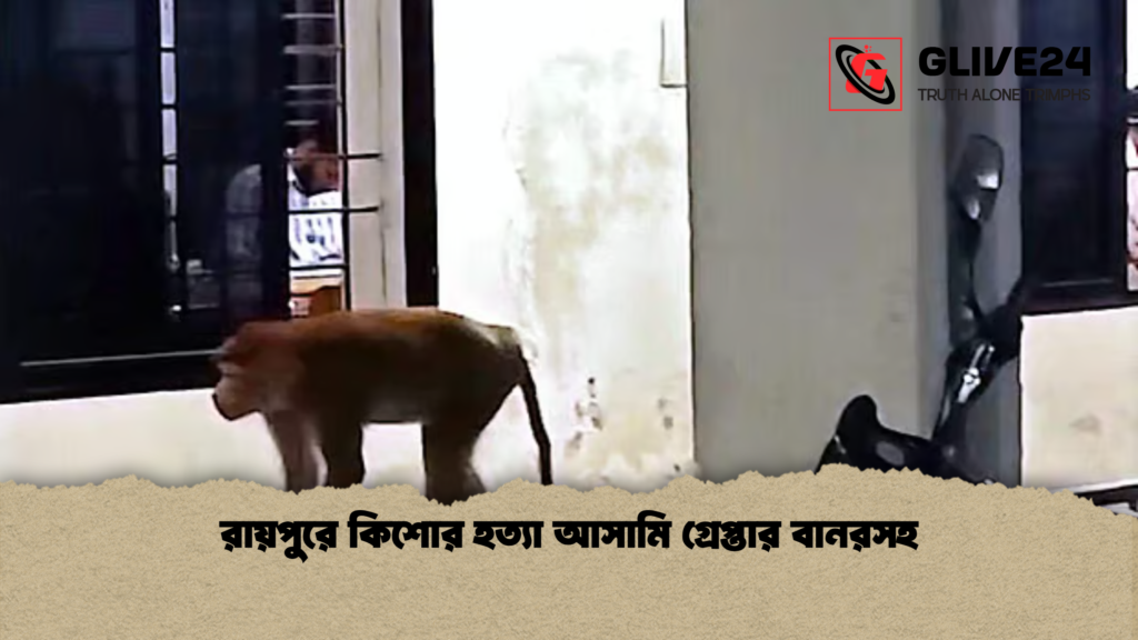 রায়পুরে কিশোর হত্যা আসামি গ্রেপ্তার বানরসহ রায়পুরে কিশোর হত্যা আসামি গ্রেপ্তার বানরসহ