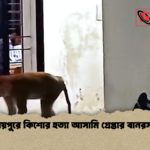 রায়পুরে কিশোর হত্যা আসামি গ্রেপ্তার বানরসহ রায়পুরে কিশোর হত্যা আসামি গ্রেপ্তার বানরসহ