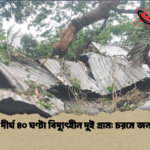 শ্রীপুরে দীর্ঘ ৪০ ঘণ্টা বিদ্যুৎহীন দুই গ্রাম চরমে জনদুর্ভোগ 2 শ্রীপুরে দীর্ঘ ৪০ ঘণ্টা বিদ্যুৎহীন দুই গ্রাম: চরমে জনদুর্ভোগ