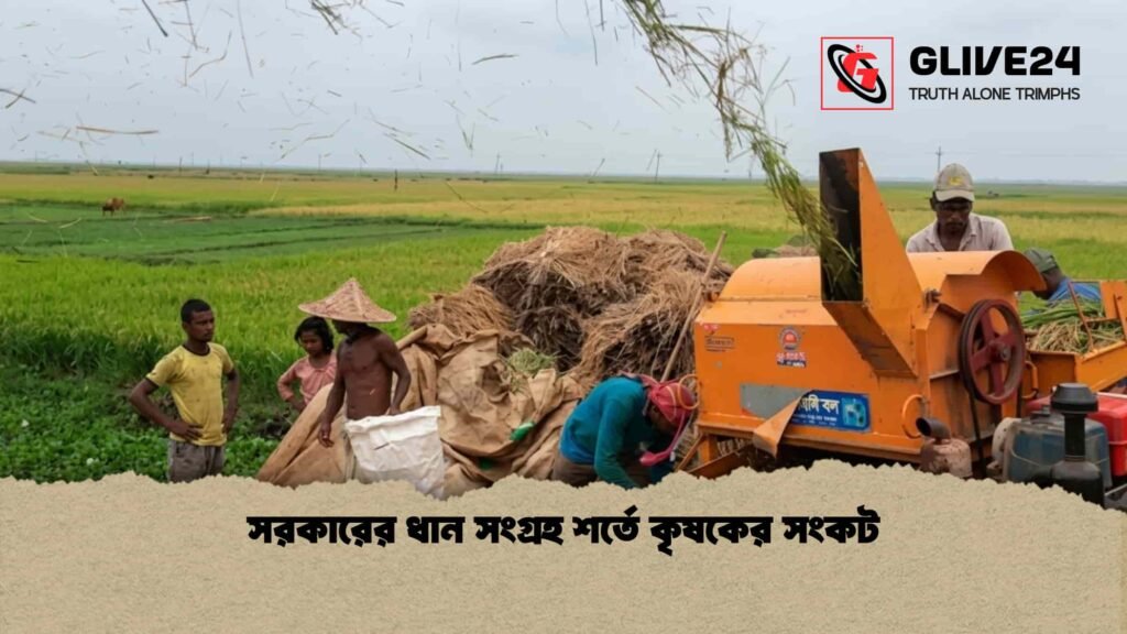 সরকারের ধান সংগ্রহ শর্তে কৃষকের সংকট