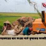 সরকারের ধান সংগ্রহ শর্তে কৃষকের সংকট