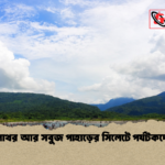 সাদা পাথর আর সবুজ পাহাড়ের সিলেটে পর্যটকদের ঢল 1 সাদা পাথর আর সবুজ পাহাড়ের সিলেটে পর্যটকদের ঢল
