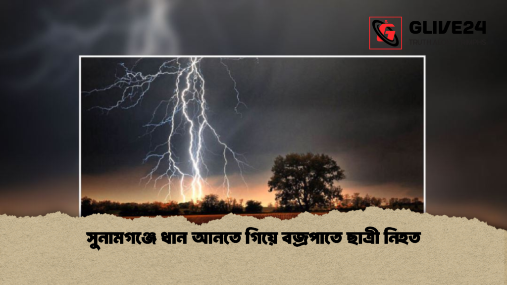 সুনামগঞ্জে ধান আনতে গিয়ে বজ্রপাতে ছাত্রী নিহত 2 সুনামগঞ্জে ধান আনতে গিয়ে বজ্রপাতে ছাত্রী নিহত