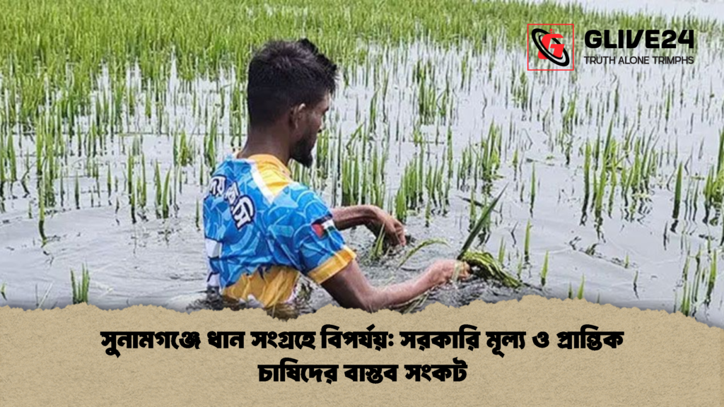 সুনামগঞ্জে ধান সংগ্রহে বিপর্যয় সরকারি মূল্য ও প্রান্তিক চাষিদের বাস্তব সংকট সুনামগঞ্জে ধান সংগ্রহে বিপর্যয়: সরকারি মূল্য ও প্রান্তিক চাষিদের বাস্তব সংকট