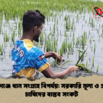সুনামগঞ্জে ধান সংগ্রহে বিপর্যয় সরকারি মূল্য ও প্রান্তিক চাষিদের বাস্তব সংকট সুনামগঞ্জে ধান সংগ্রহে বিপর্যয়: সরকারি মূল্য ও প্রান্তিক চাষিদের বাস্তব সংকট