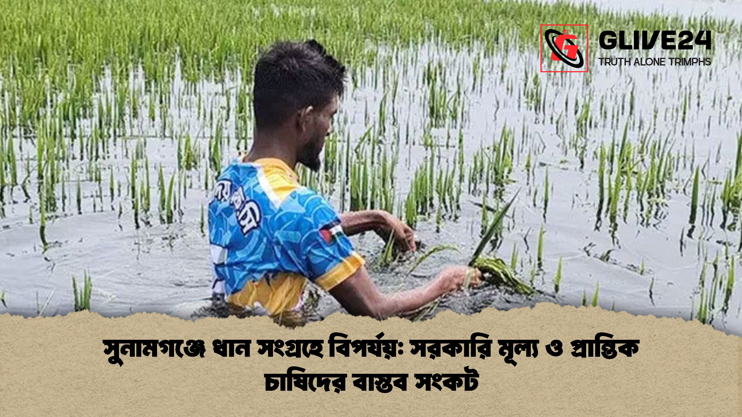 সুনামগঞ্জে ধান সংগ্রহে বিপর্যয় সরকারি মূল্য ও প্রান্তিক চাষিদের বাস্তব সংকট সুনামগঞ্জে ধান সংগ্রহে বিপর্যয়: সরকারি মূল্য ও প্রান্তিক চাষিদের বাস্তব সংকট