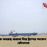 হরমুজে অবরুদ্ধ জাহাজ নিয়ে ট্রাম্পের পদক্ষেপ কতটা কৌশলগত