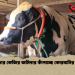 হাজার কেজির জমিদার কাঁপাচ্ছে কোরবানির হাট হাজার কেজির জমিদার কাঁপাচ্ছে কোরবানির হাট