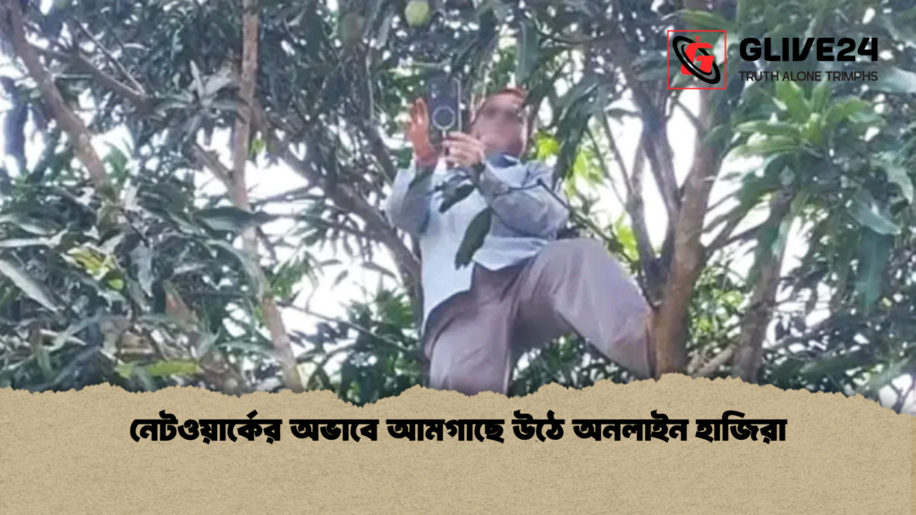 news thumbnail 1781590068866 নেটওয়ার্কের অভাবে আমগাছে উঠে অনলাইন হাজিরা