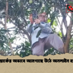 news thumbnail 1781590068866 নেটওয়ার্কের অভাবে আমগাছে উঠে অনলাইন হাজিরা