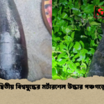 news thumbnail 1781776119299 দ্বিতীয় বিশ্বযুদ্ধের মর্টারশেল উদ্ধার পঞ্চগড়ে