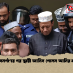 আত্মসমর্পণের পর স্থায়ী জামিন পেলেন আমির হামজা আত্মসমর্পণের পর স্থায়ী জামিন পেলেন আমির হামজা