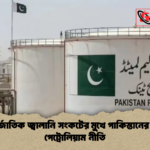 আন্তর্জাতিক জ্বালানি সংকটের মুখে পাকিস্তানের নতুন পেট্রোলিয়াম নীতি 1 আন্তর্জাতিক জ্বালানি সংকটের মুখে পাকিস্তানের নতুন পেট্রোলিয়াম নীতি