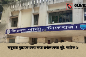 কচুয়ায় বৃদ্ধাকে হত্যা করে স্বর্ণালংকার লুট, আটক ১