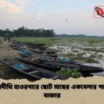 কাউয়াদীঘি হাওরপারে ছোট মাছের একবেলার পাইকারি বাজার