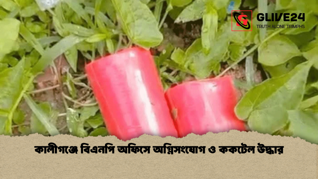 কালীগঞ্জে বিএনপি অফিসে অগ্নিসংযোগ ও ককটেল উদ্ধার 1 কালীগঞ্জে বিএনপি অফিসে অগ্নিসংযোগ ও ককটেল উদ্ধার