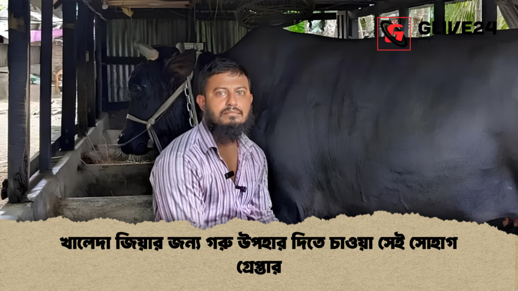 খালেদা জিয়ার জন্য গরু উপহার দিতে চাওয়া সেই সোহাগ গ্রেপ্তার খালেদা জিয়ার জন্য গরু উপহার দিতে চাওয়া সেই সোহাগ গ্রেপ্তার
