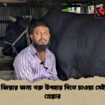 খালেদা জিয়ার জন্য গরু উপহার দিতে চাওয়া সেই সোহাগ গ্রেপ্তার খালেদা জিয়ার জন্য গরু উপহার দিতে চাওয়া সেই সোহাগ গ্রেপ্তার