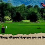 ঘুমধুম সীমান্তে মর্টারশেল বিস্ফোরণে প্রাণ গেল কিশোরের ঘুমধুম সীমান্তে মর্টারশেল বিস্ফোরণে প্রাণ গেল কিশোরের