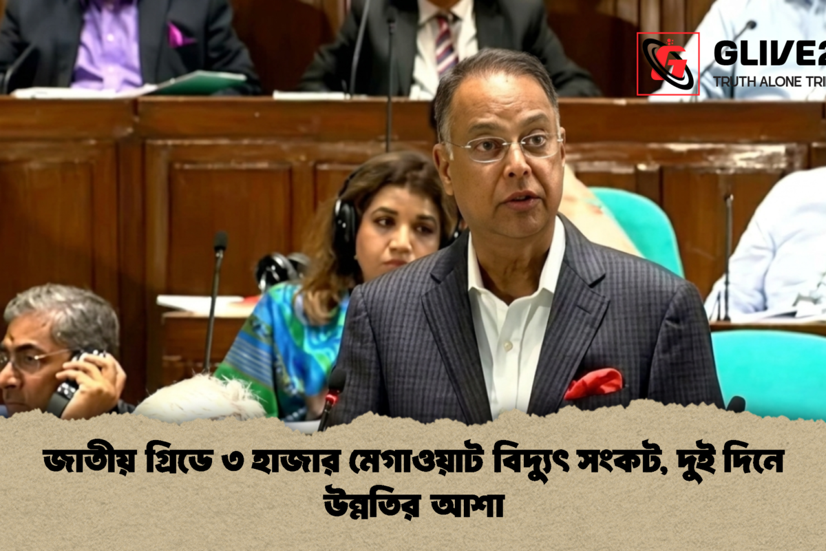 জাতীয় গ্রিডে ৩ হাজার মেগাওয়াট বিদ্যুৎ সংকট, দুই দিনে উন্নতির আশা