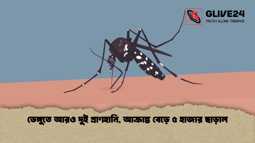 ডেঙ্গুতে আরও দুই প্রাণহানি আক্রান্ত বেড়ে ৫ হাজার ছাড়াল ডেঙ্গুতে আরও দুই প্রাণহানি, আক্রান্ত বেড়ে ৫ হাজার ছাড়াল
