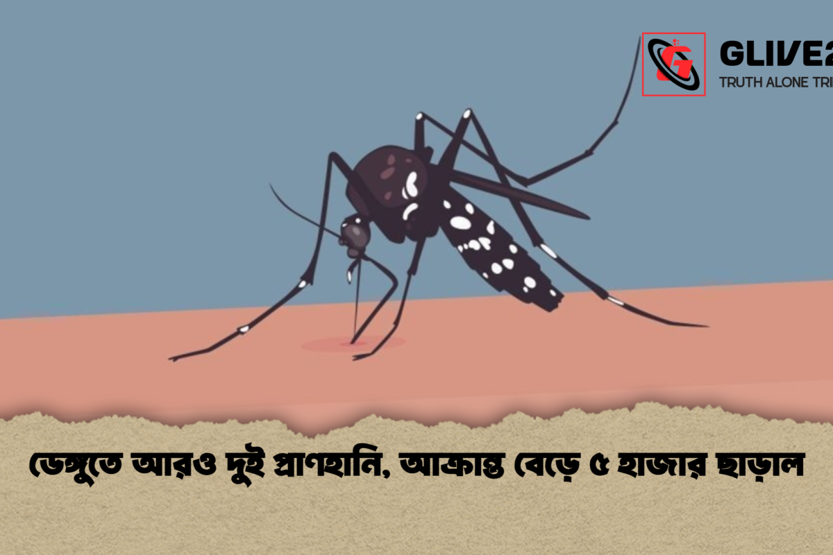 ডেঙ্গুতে আরও দুই প্রাণহানি, আক্রান্ত বেড়ে ৫ হাজার ছাড়াল