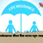 তাইওয়ানের জীবন বীমা খাতের নতুন মোড় 1 তাইওয়ানের জীবন বীমা খাতের নতুন মোড়