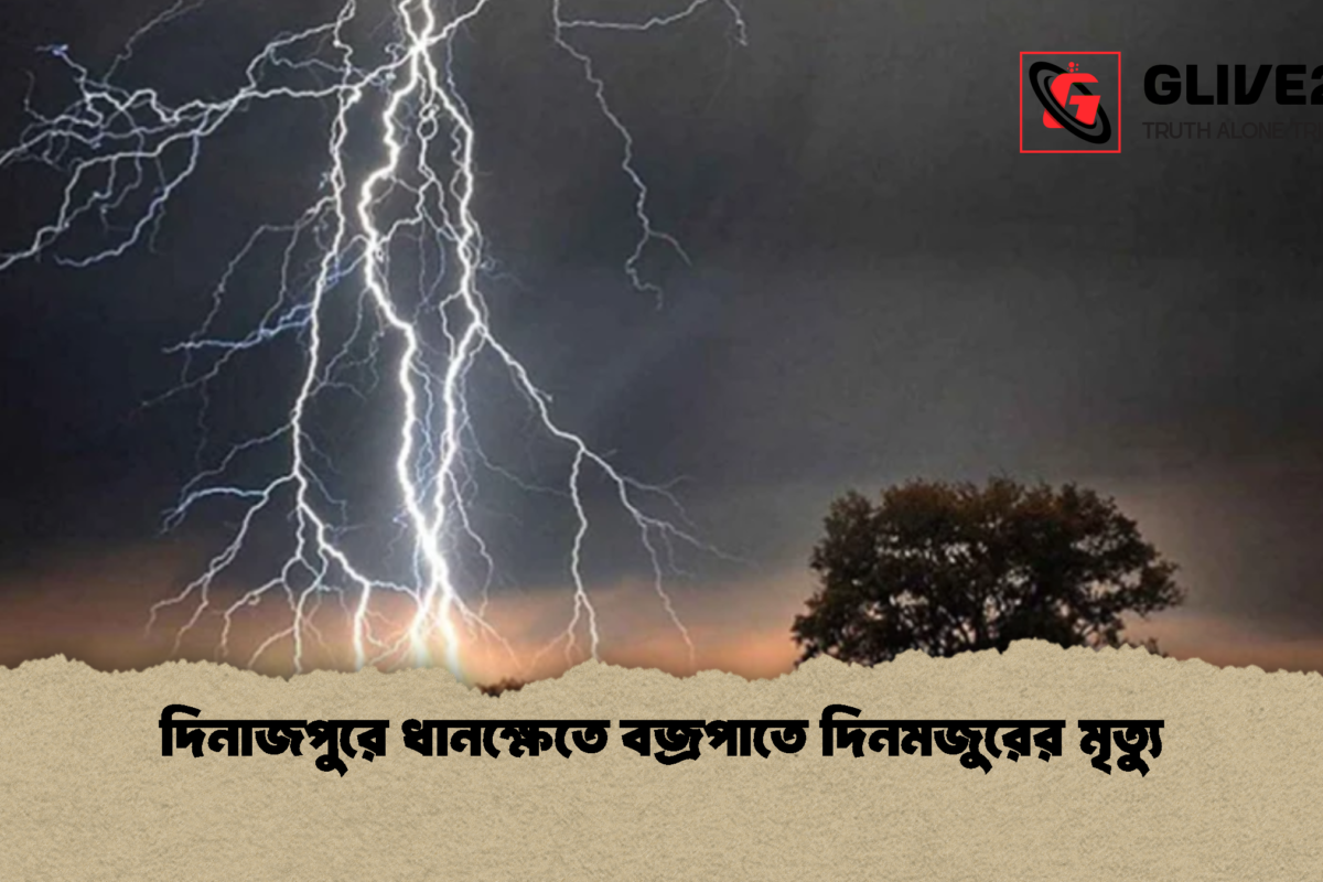 দিনাজপুরে ধানক্ষেতে বজ্রপাতে দিনমজুরের মৃত্যু