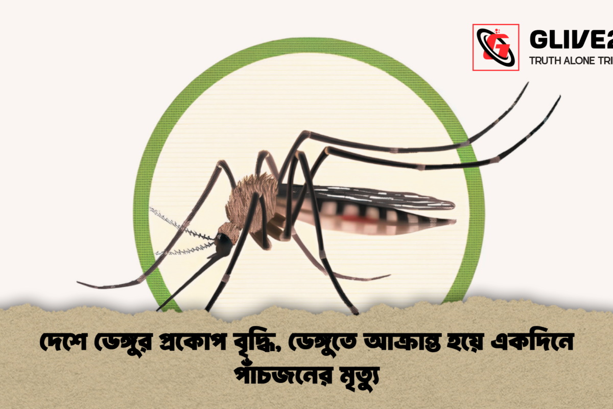 দেশে ডেঙ্গুর প্রকোপ বৃদ্ধি, ডেঙ্গুতে আক্রান্ত হয়ে একদিনে পাঁচজনের মৃত্যু