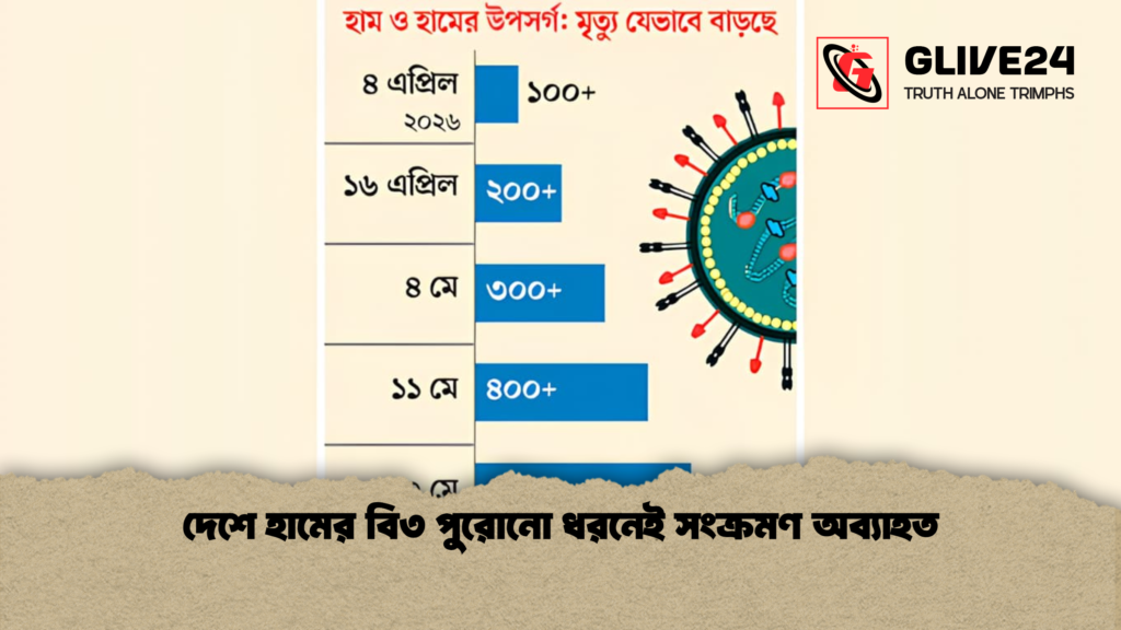 দেশে হামের বি৩ পুরোনো ধরনেই সংক্রমণ অব্যাহত দেশে হামের বি৩ পুরোনো ধরনেই সংক্রমণ অব্যাহত