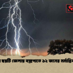দেশের ছয়টি জেলায় বজ্রপাতে ১২ জনের মর্মান্তিক মৃত্যু 1 দেশের ছয়টি জেলায় বজ্রপাতে ১২ জনের মর্মান্তিক মৃত্যু