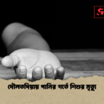 দৌলতদিয়ায় পানির গর্তে শিশুর মৃত্যু দৌলতদিয়ায় পানির গর্তে শিশুর মৃত্যু