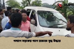 পলাশে সড়কের পাশে রক্তাক্ত বৃদ্ধ উদ্ধার