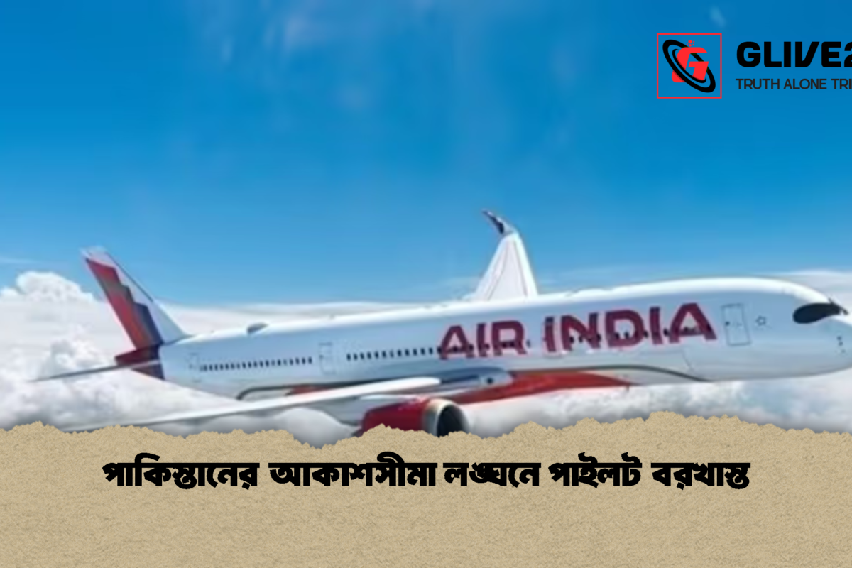 পাকিস্তানের আকাশসীমা লঙ্ঘনে পাইলট বরখাস্ত