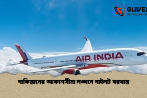 পাকিস্তানের আকাশসীমা লঙ্ঘনে পাইলট বরখাস্ত