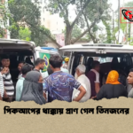 পিকআপের ধাক্কায় প্রাণ গেল তিনজনের পিকআপের ধাক্কায় প্রাণ গেল তিনজনের