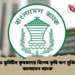 প্রান্তিক ও ভূমিহীন কৃষকদের বিশেষ কৃষি ঋণ সুবিধা দিচ্ছে বাংলাদেশ ব্যাংক