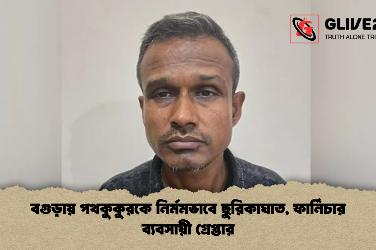 বগুড়ায় পথকুকুরকে নির্মমভাবে ছুরিকাঘাত, ফার্নিচার ব্যবসায়ী গ্রেপ্তার