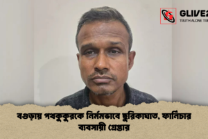 বগুড়ায় পথকুকুরকে নির্মমভাবে ছুরিকাঘাত, ফার্নিচার ব্যবসায়ী গ্রেপ্তার