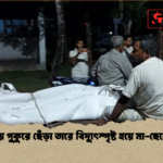 বরগুনায় পুকুরে ছেঁড়া তারে বিদ্যুৎস্পৃষ্ট হয়ে মা ছেলের মৃত্যু 2 বরগুনায় পুকুরে ছেঁড়া তারে বিদ্যুৎস্পৃষ্ট হয়ে মা-ছেলের মৃত্যু