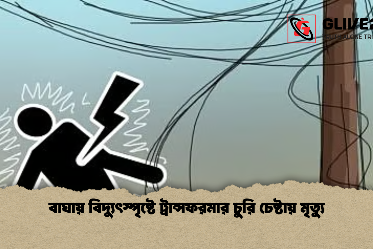 বাঘায় বিদ্যুৎস্পৃষ্টে ট্রান্সফরমার চুরি চেষ্টায় মৃত্যু