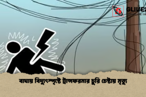 বাঘায় বিদ্যুৎস্পৃষ্টে ট্রান্সফরমার চুরি চেষ্টায় মৃত্যু