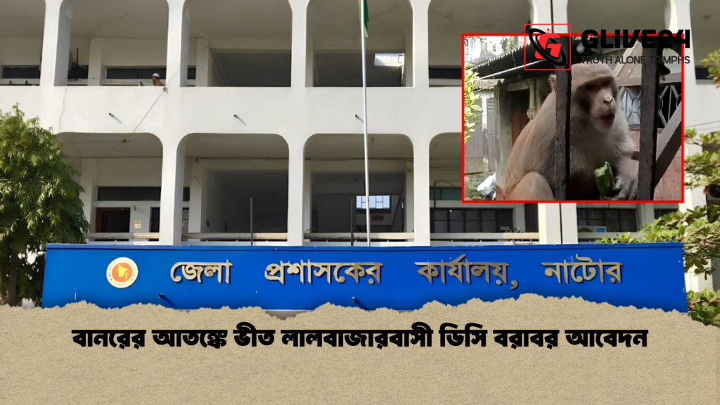 বানরের আতঙ্কে ভীত লালবাজারবাসী ডিসি বরাবর আবেদন বানরের আতঙ্কে ভীত লালবাজারবাসী ডিসি বরাবর আবেদন