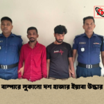 বাম্পারে লুকানো দশ হাজার ইয়াবা উদ্ধার বাম্পারে লুকানো দশ হাজার ইয়াবা উদ্ধার